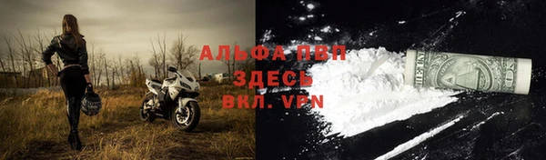молекула духа Гусиноозёрск