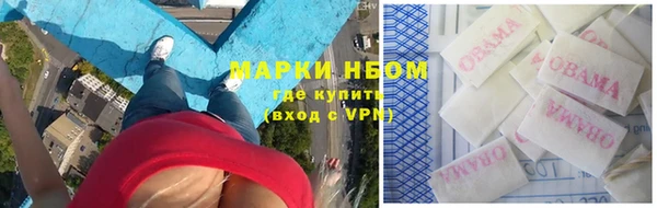 мяу мяу мука Гусь-Хрустальный
