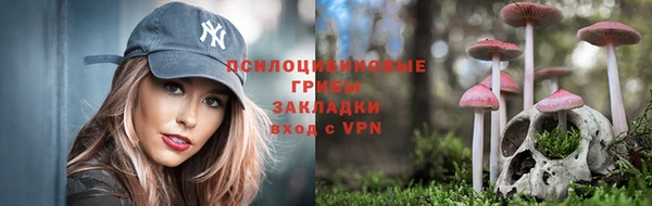 мяу мяу мука Гусь-Хрустальный