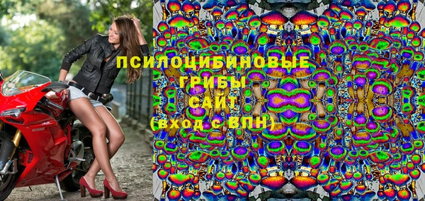 молекула духа Гусиноозёрск