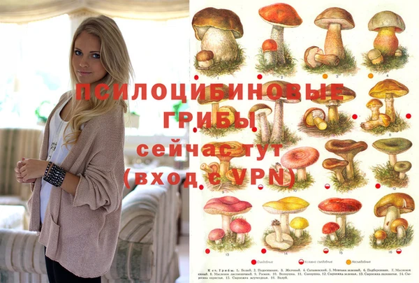 мяу мяу мука Гусь-Хрустальный