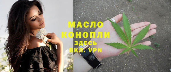 мяу мяу мука Гусь-Хрустальный