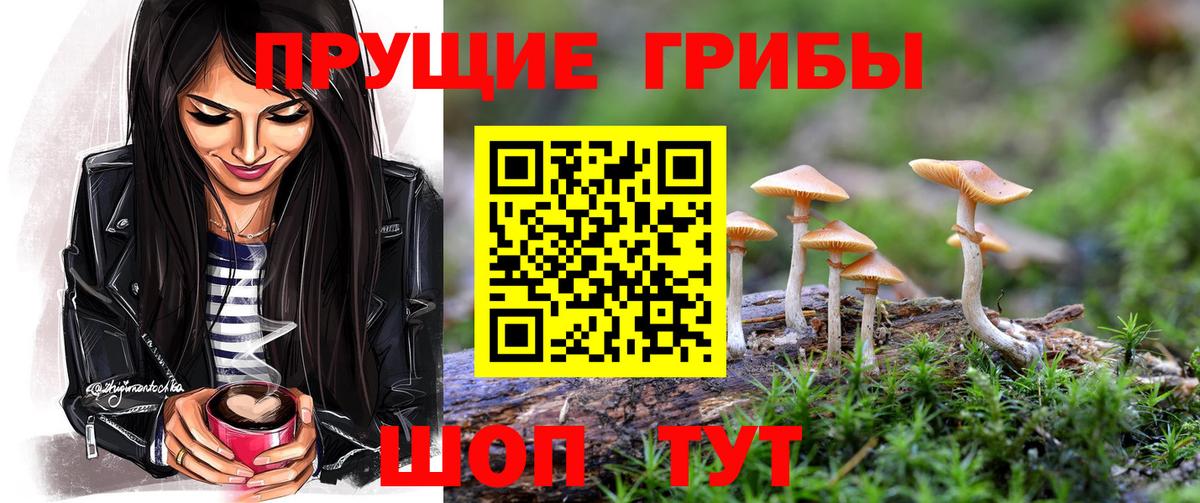 Псилоцибиновые грибы прущие грибы  Псилоцибиновые грибы MAGIC MUSHROOMS  Моршанск 