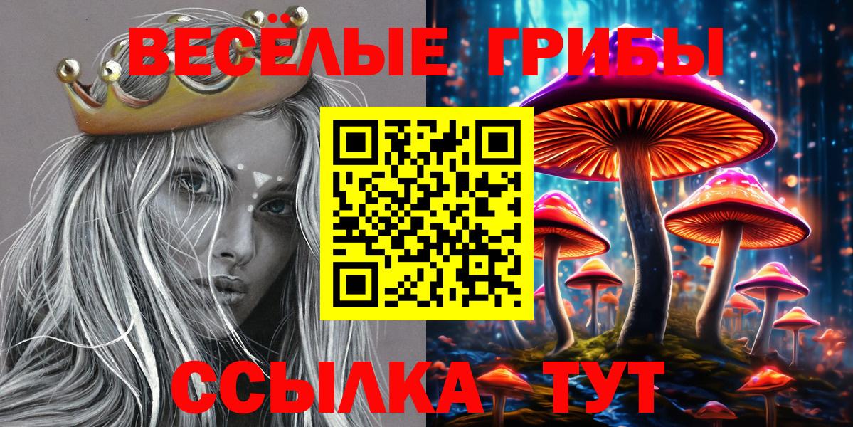 Псилоцибиновые грибы прущие грибы  Псилоцибиновые грибы мицелий  Вход с VPN  Моршанск 